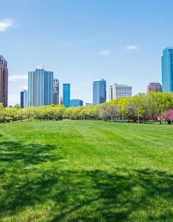 A lush green park with a city skyline in the background