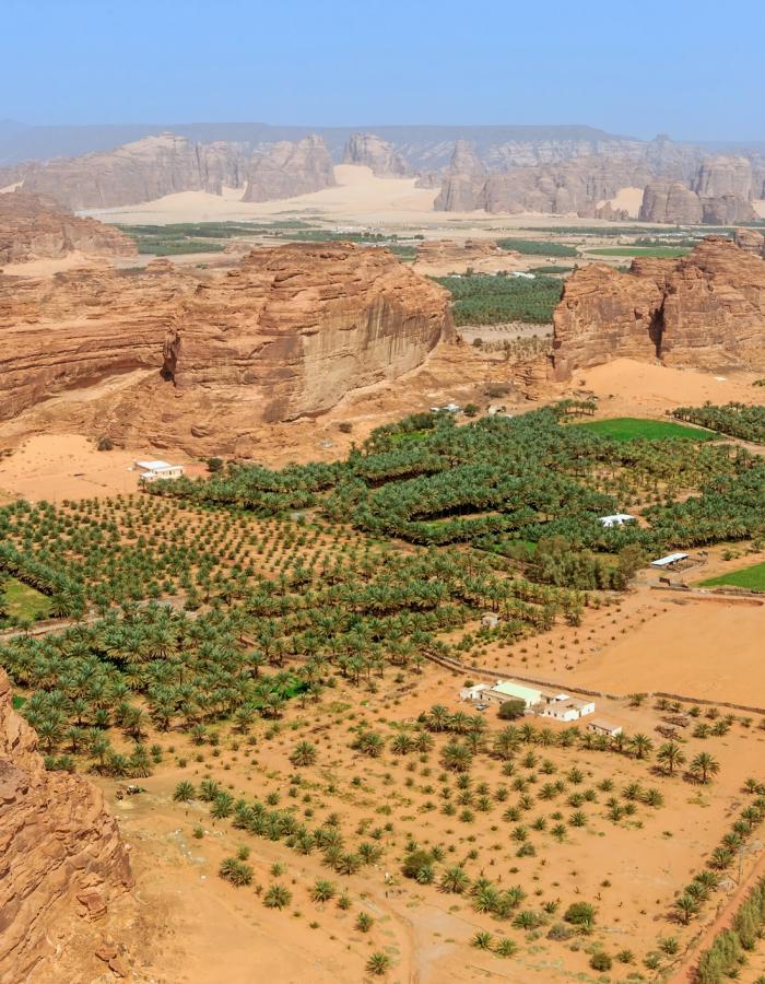 Arial image of a dessert in Saudi Arabia with some agricultural greenery