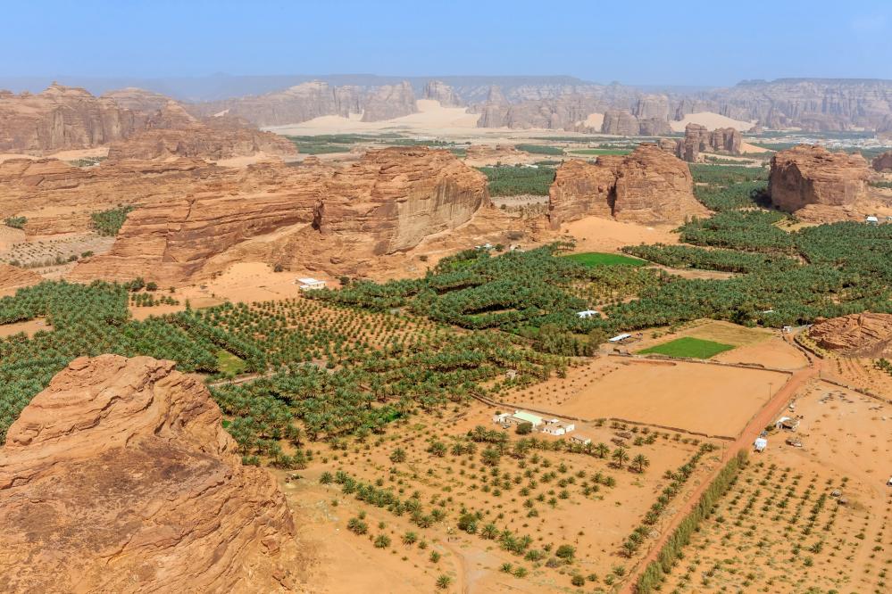 Arial image of a dessert in Saudi Arabia with some agricultural greenery